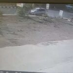 VIDEO : तेज रफ्तार कार की टक्कर से हवा में दूर तक उछला बाइक सवार, सीसीटीवी में कैद हुआ हादसा