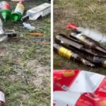 CG : राजधानी के होली मिलन कार्यक्रम में वन अमले ने जमकर छलकाया जाम, पार्क में ही फेंकी शराब की बोतलें, सोशल मीडिया पर VIDEO वायरल