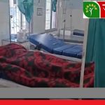 बेमेतरा : मधुमक्खियों का हमला, खेत में काम कर रहे किसान की मौत, पत्नी और बेटा घायल