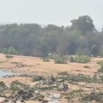 CG : सूखने लगी इंद्रावती नदी, चित्रकोट वॉटरफॉल में पतली धार, अप्रैल महीने में भीषण गर्मी से जनजीवन हुआ प्रभावित