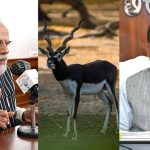 बिजली की रफ्तार से भागता है ‘ब्लैक बक’, जिसका PM मोदी ने किया जिक्र, CM साय ने कही ये बड़ी बात