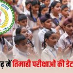 छत्तीसगढ़ में स्कूलों की तिमाही परीक्षाओं की तारीख तय, 21 सितंबर से होगी शुरुआत, देखें पूरा शेड्यूल